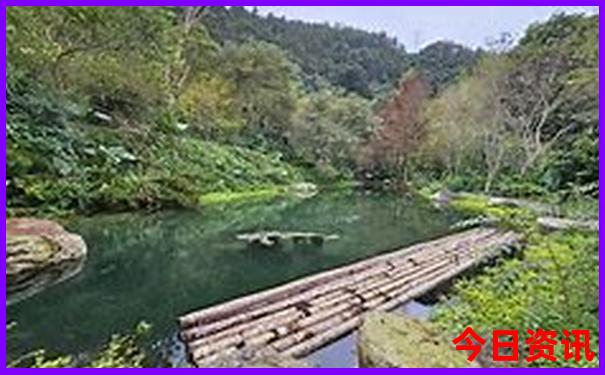 沈阳周末带孩子去哪里玩好